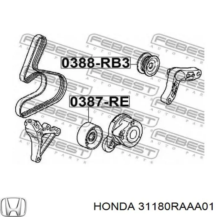 31180RAAA01 Honda Ролик натяжителя ремня агрегатов