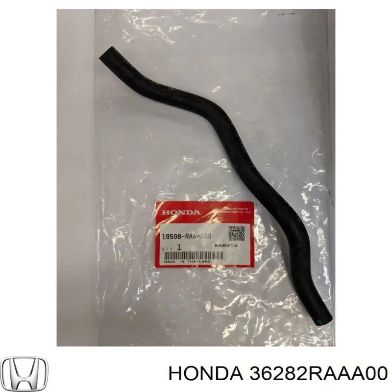  36282RAAA00 Honda