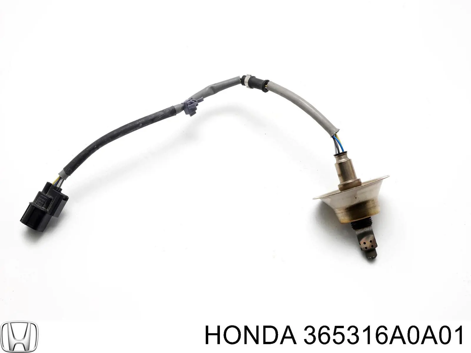  365316A0A01 Honda