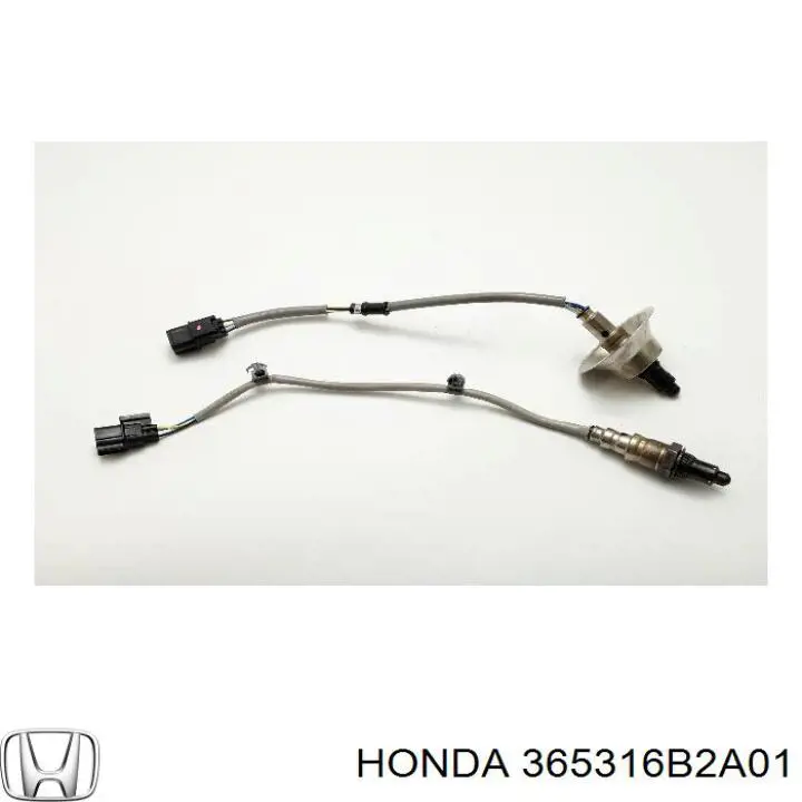  365316B2A01 Honda