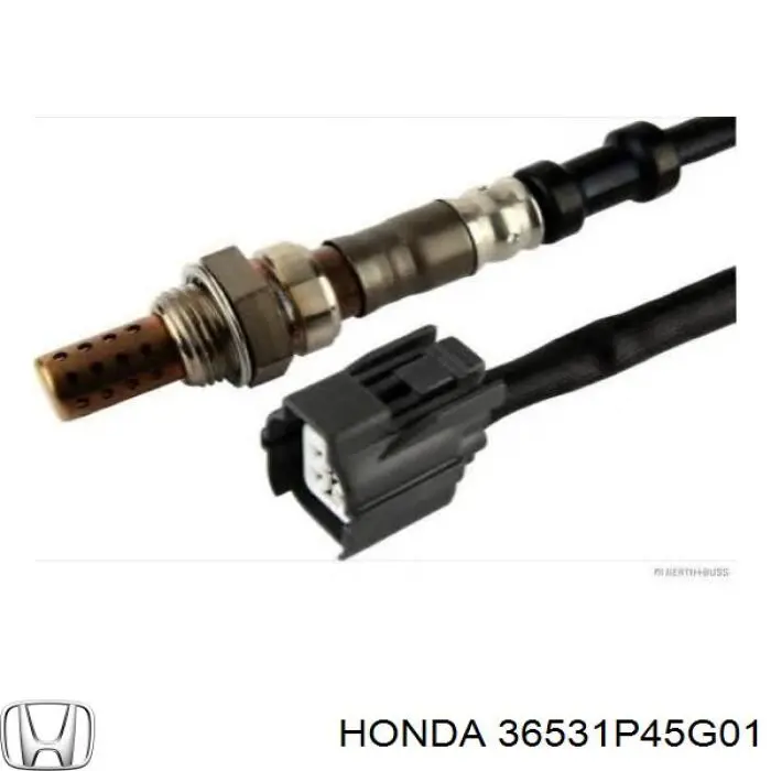 Лямбда зонд на Honda Accord 5 (Хонда Аккорд)