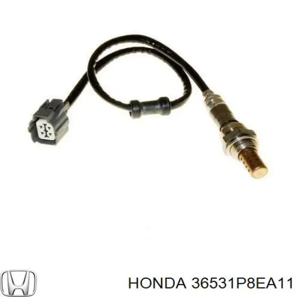 36531P8EA11 Honda