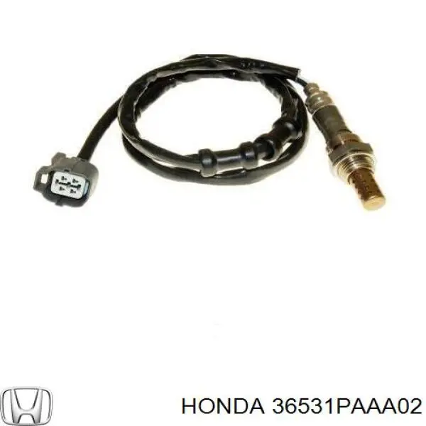  36531PAAA02 Honda