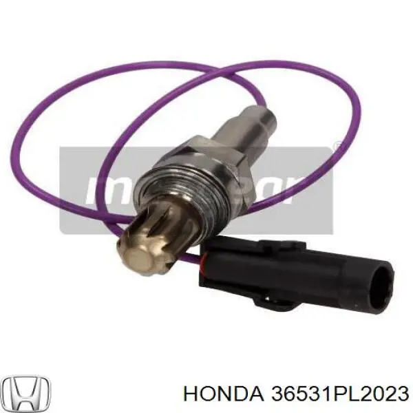 36531PL2023 Honda