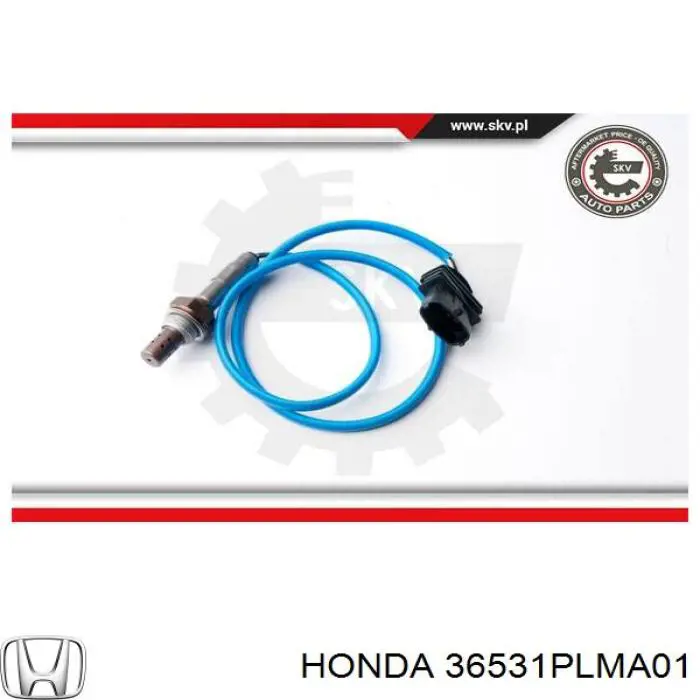 Лямбдазонд, датчик кислорода до катализатора Honda 36531PLMA01 цена, от 1724.09 UAH