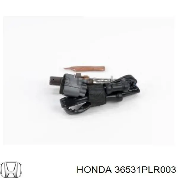 Купить 36531PLR003 Honda 