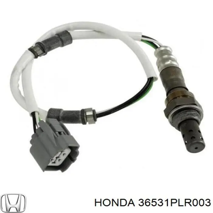  36531PLR003 Honda