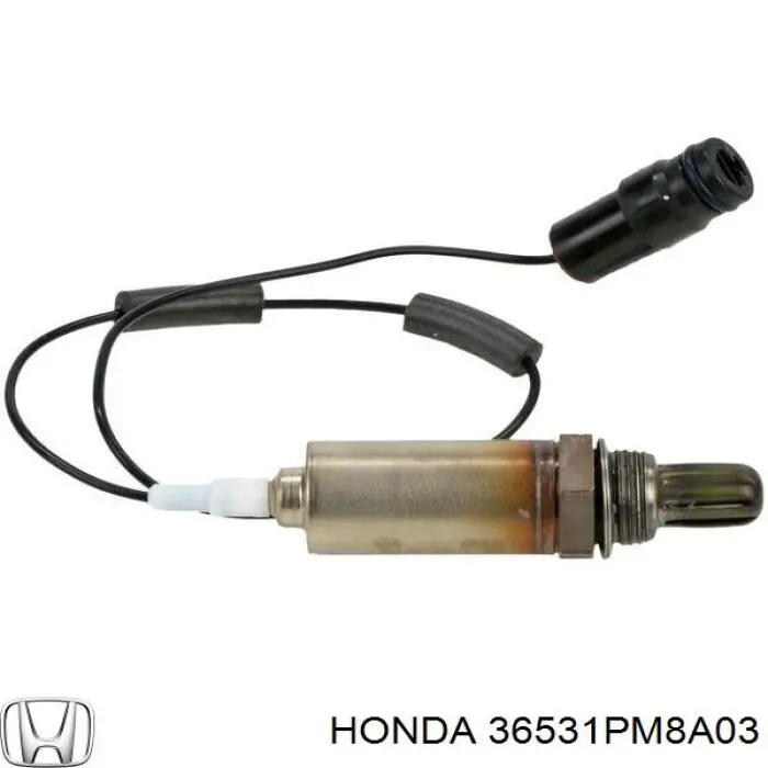 Sonda Lambda Sensor De Oxigeno Post Catalizador 36531PM8A03 Honda