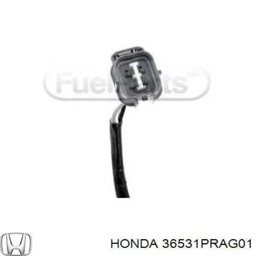 Купить 36531PRAG01 Honda Датчик кислорода до катализатора