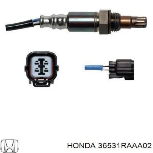  36531RAAA02 Honda