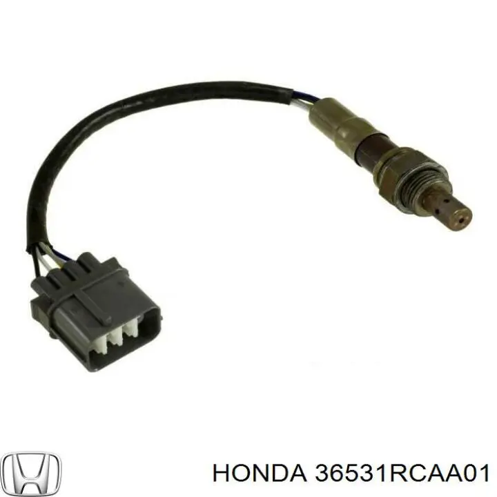  36531RCAA01 Honda