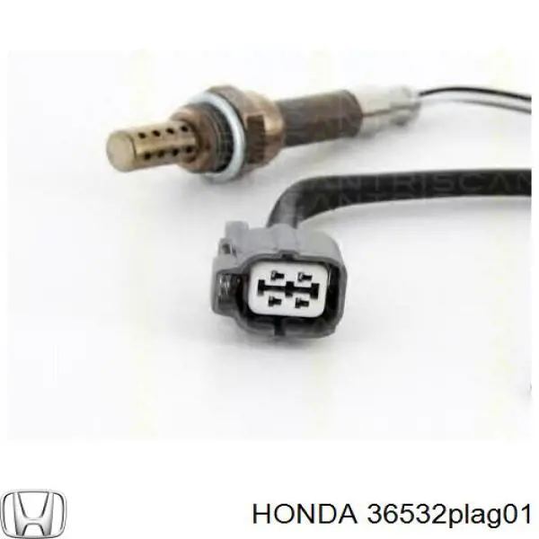  Honda 36532PLAG01