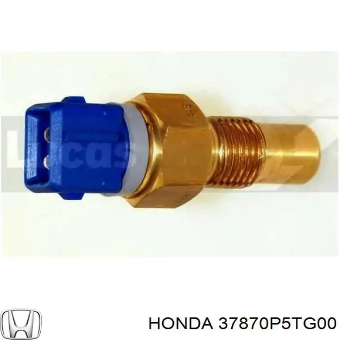 Купить 37870P5TG00 Honda 