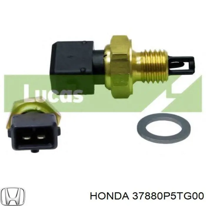 Sensor, temperatura del aire de admisión 37880P5TG00 Honda