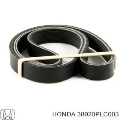 Ремень кондиционера Honda 38920PLC003