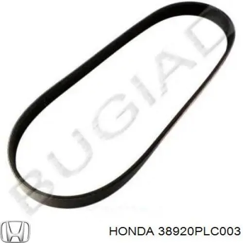 Купить 38920PLC003 Honda Ремень генератора