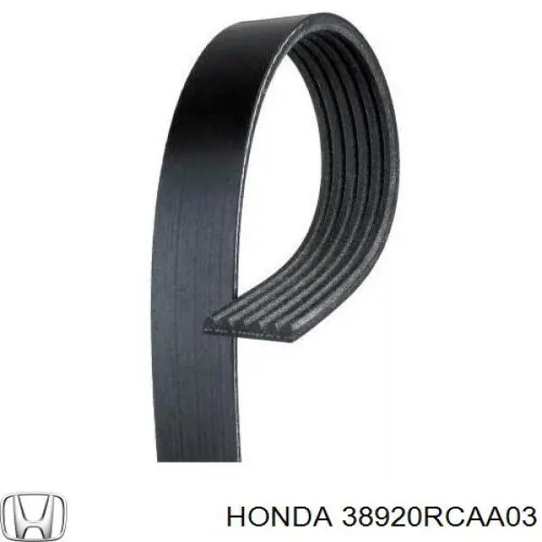 Correa trapezoidal 38920RCAA03 Honda/Acura