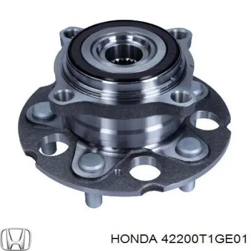 Cubo de rueda trasero 42200T1GE01 Honda/Acura