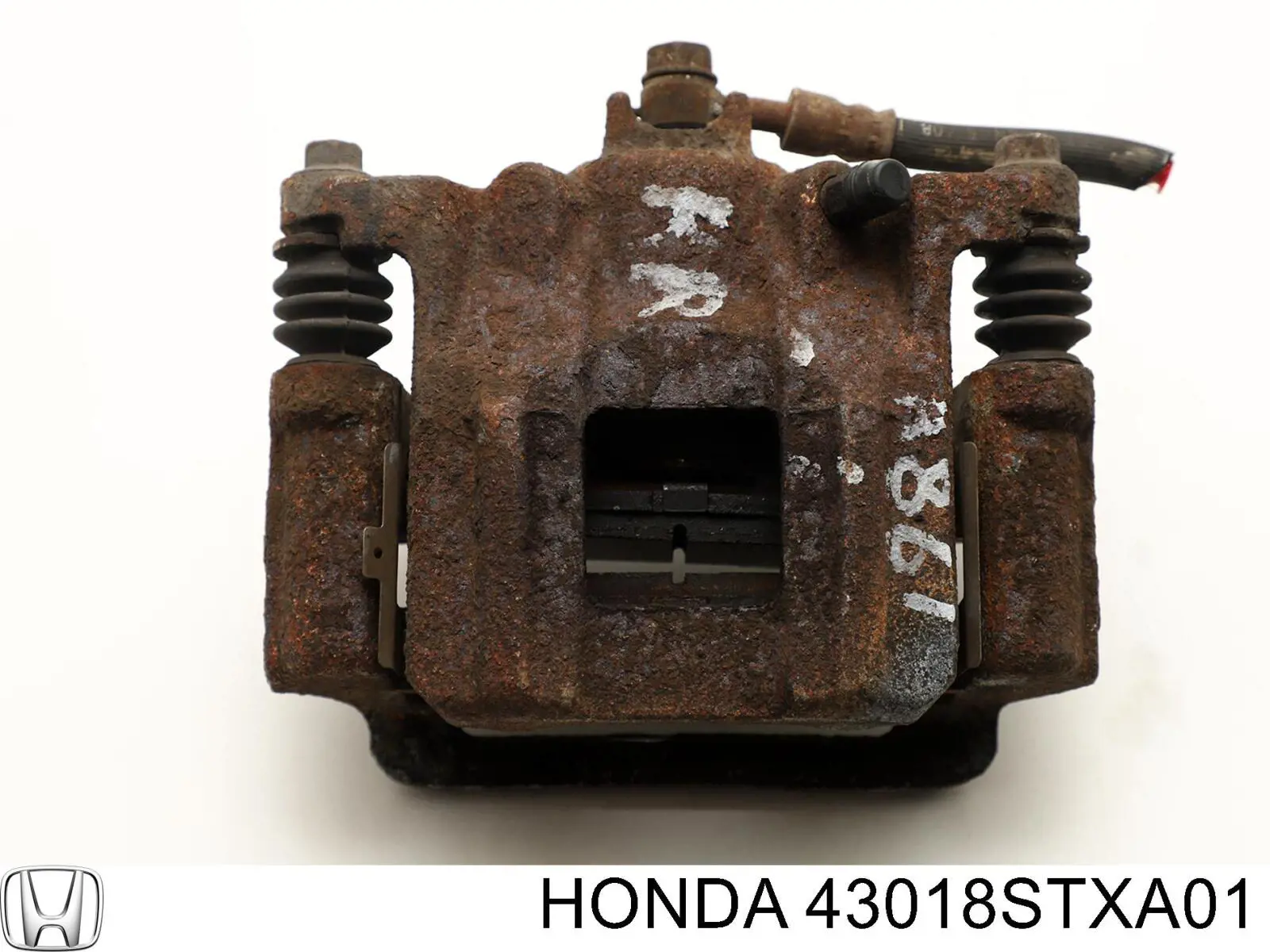  43018STXA01 Honda