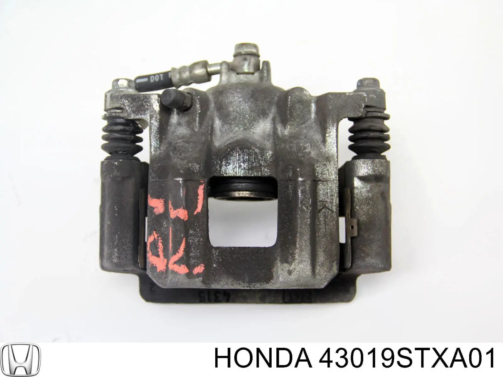 43019STXA01 Honda 