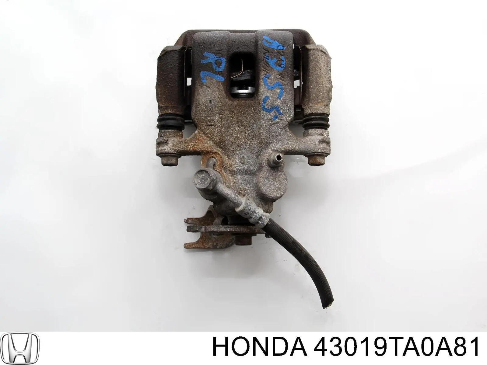 Pinza de freno trasera izquierda 43019TA0A81 Honda/Acura