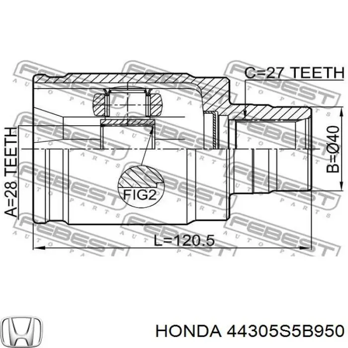  XX44305S5B950 Market (OEM)