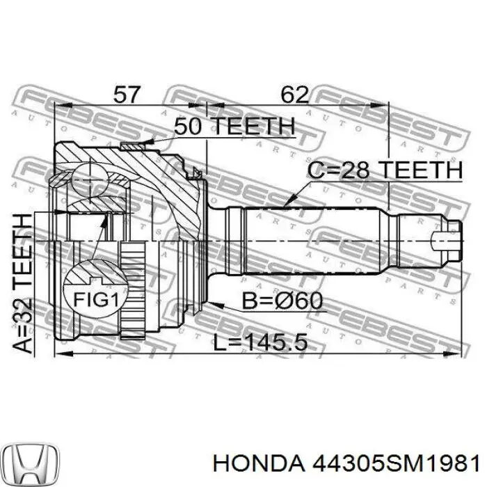 44305SM1981 Honda