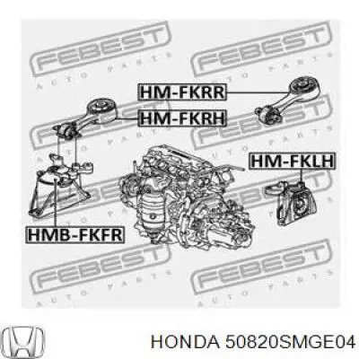 Купить 50820SMGE04 Honda Передняя опора двигателя