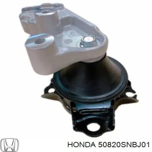 Купить 50820SNBJ01 Honda Подушка (опора) двигателя правая нижняя