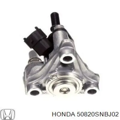 50820-SNB-J02 Honda Подушка (опора) двигателя правая нижняя