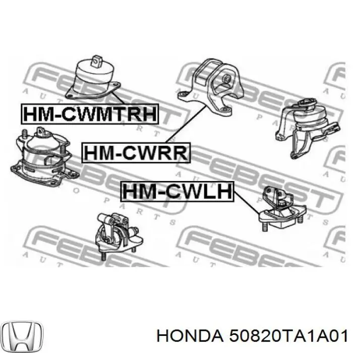  50820TA1A01 Honda