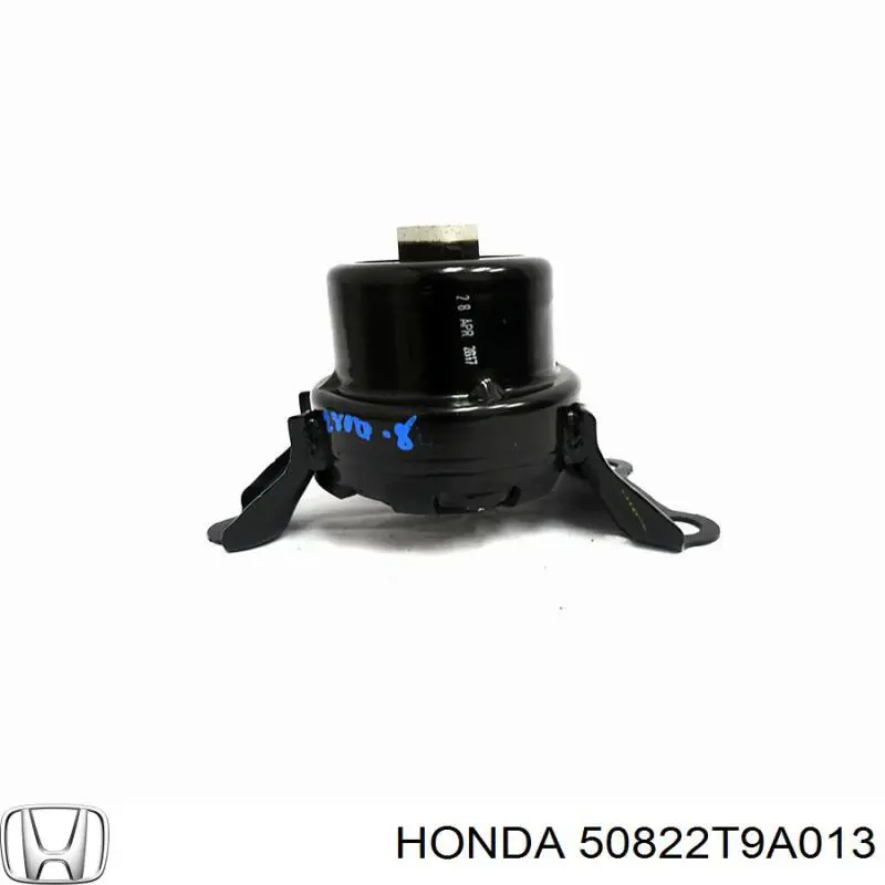  Tenacity AWSHO1142 цена, от 28.77 USD