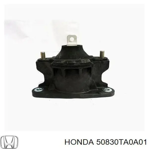 Опора двигателя Honda Accord 08-13 / Acura TSX 08-14