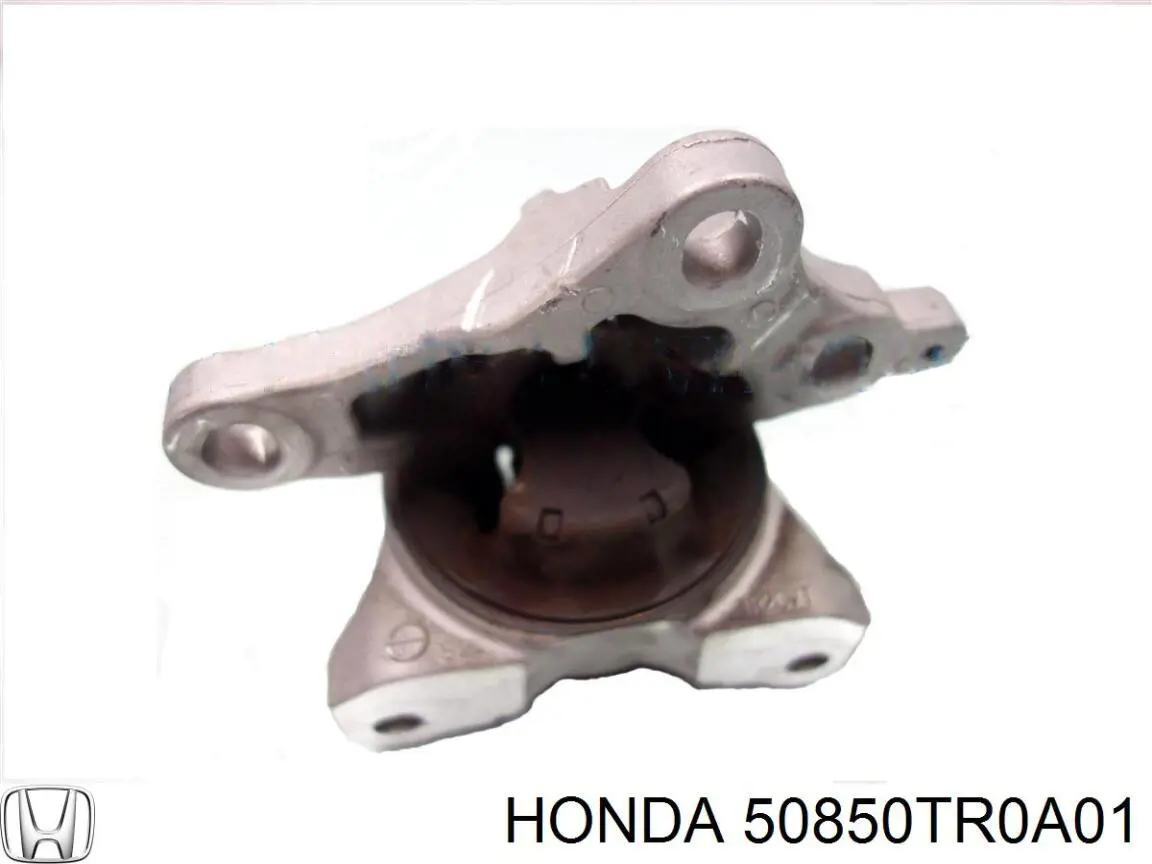  Tenacity AWSHO1140 цена, от 16.02 USD