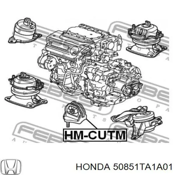 Подушка (опора) двигателя левая нижняя Honda 50851TA1A01