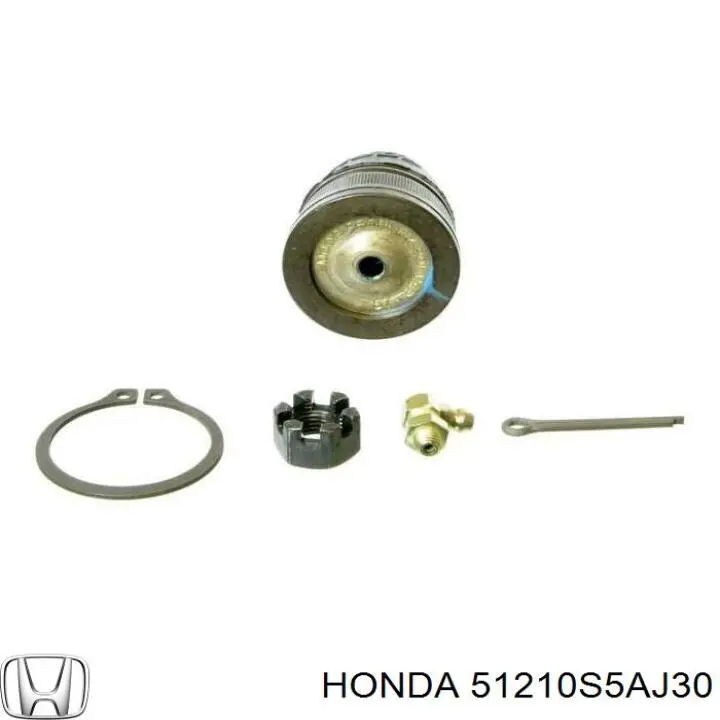 Цапфа (поворотный кулак) передний правый Honda 51210S5AJ30 цена, от 45.22 USD