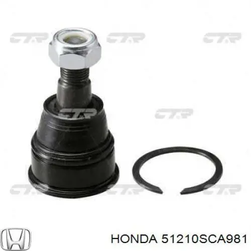 Цапфа (поворотный кулак) передний правый 51210SCA981 Honda