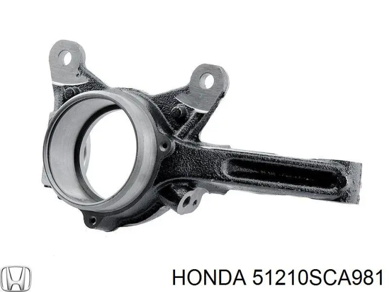Цапфа (поворотный кулак) передний правый Honda 51210SCA981 цена, от 41.11 USD