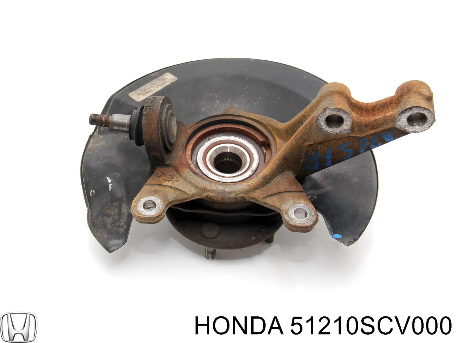 Цапфа (поворотный кулак) передний правый 51210SCV000 Honda