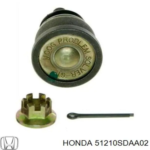 Цапфа (поворотный кулак) передний правый Honda 51210SDAA02 цена, от 43.28 USD