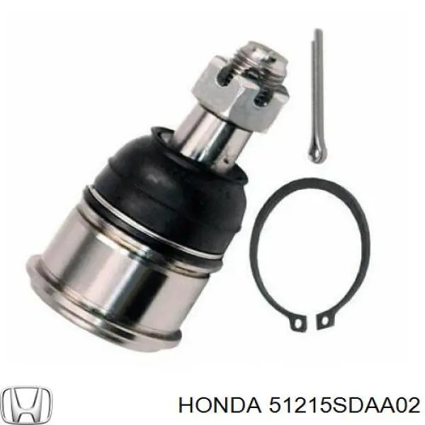 Цапфа (поворотный кулак) передний левый 51215SDAA02 Honda