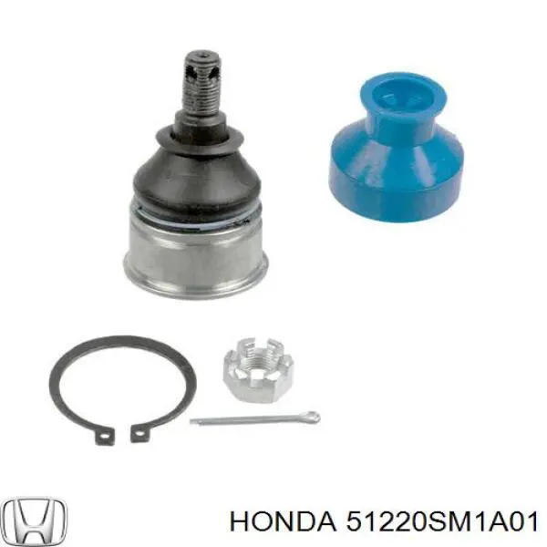 Купить 51220SM1A01 Honda Нижняя шаровая опора