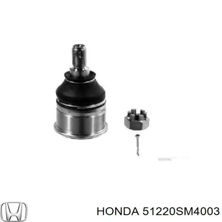 Нижняя шаровая опора 51220SM4003 Honda