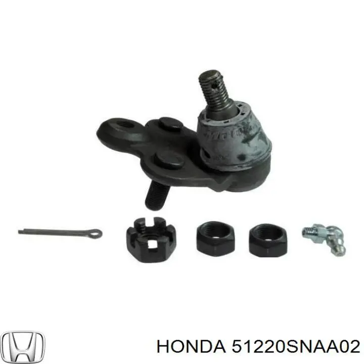 Шаровая опора нижняя правая Honda 51220SNAA02