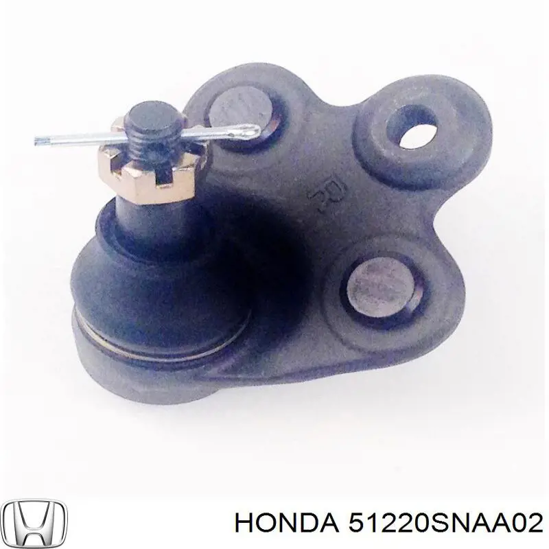 Нижняя правая шаровая опора Honda 51220SNAA02 цена, от 17.53 USD