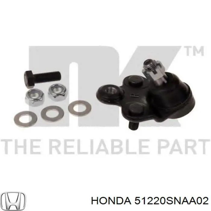 Нижняя правая шаровая опора Honda 51220SNAA02 цена, от 17.53 USD