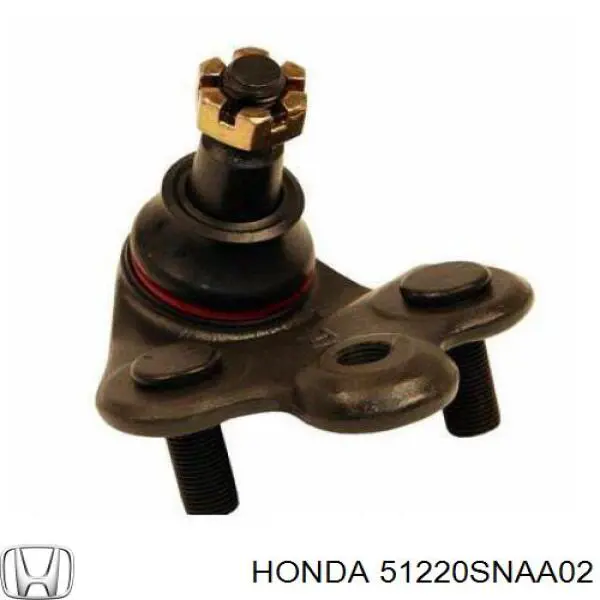 Шаровая опора правая нижняя  Honda 51220SNAA02