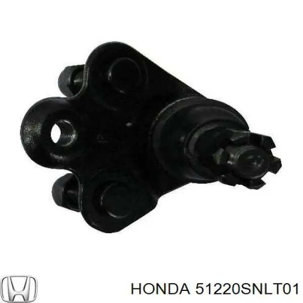 Шаровая опора нижняя правая Honda 51220SNLT01