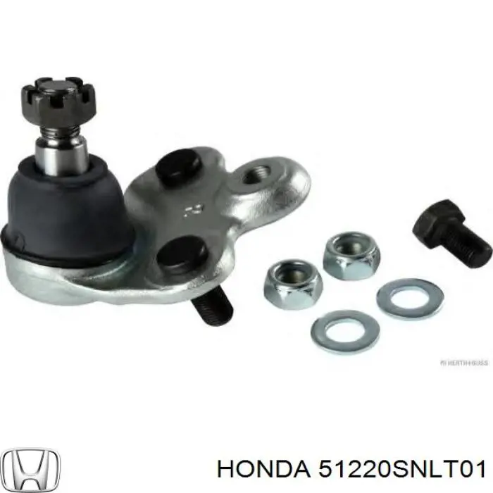 Нижняя правая шаровая опора Honda 51220SNLT01 цена, от 17.48 USD