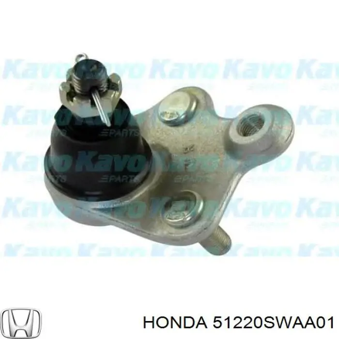 Нижняя правая шаровая опора Honda 51220SWAA01 цена, от 19.99 USD
